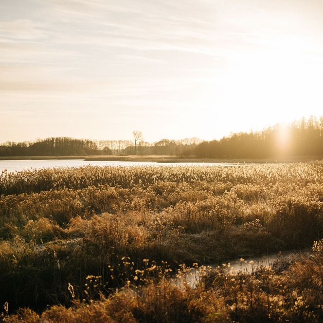 Vogelbeobachtungsturm am Netzener See bei Sonnenaufgang