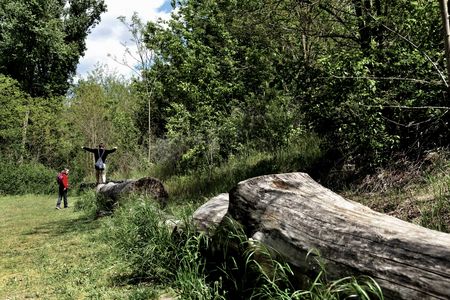 Kinder balancieren auf einem Baumstamm auf dem Waldwichtelpfad