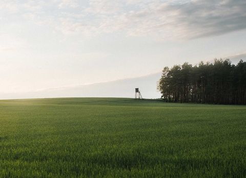 Aussichtsturm am Getreidefeld bei Dallgow-Döberitz