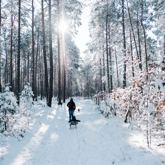 Mann zieht einen Schlitten mit Kind durch einen verschneiten Winterwald