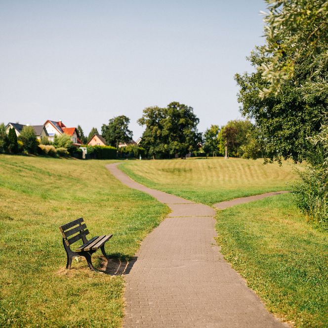 Parkbank am Spazierweg am Egelpfuhl in Dallgow-Döberitz