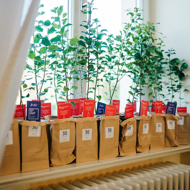 Birnbäume als Gastgeschenke auf dem Tourismustag Havelland 2026