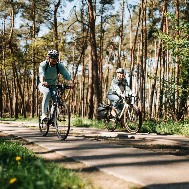 Radfahrer auf einem Radweg durchden Wald im Westhavelland