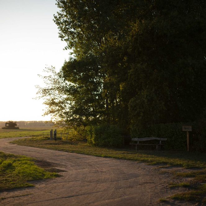 Feldweg bei Sonnenaufgang in Friesack