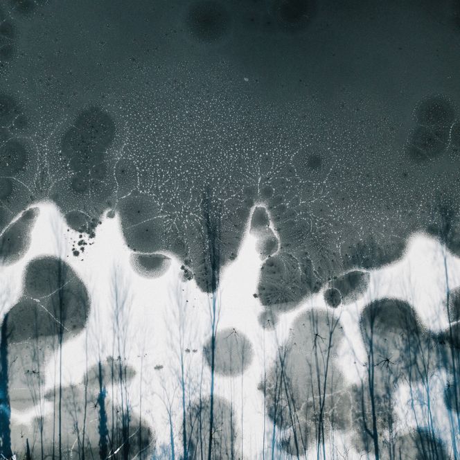 Luftaufnahme eines gefrorenen Sees im Winter