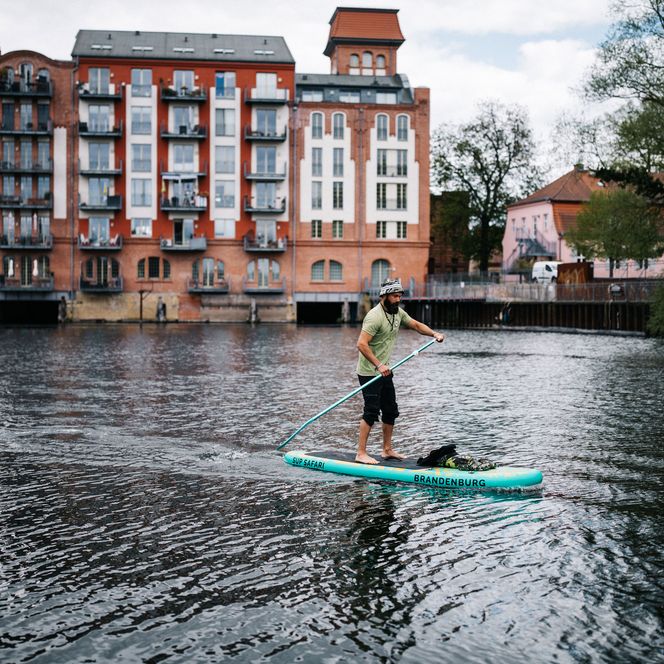 Mann fährt auf einem SUP auf der Havel am Grillendamm in Brandenburg an der Havel