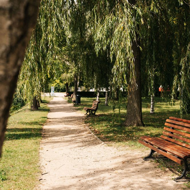 Promenade mit Sitzbänken am Stadthafen Ketzin/Havel