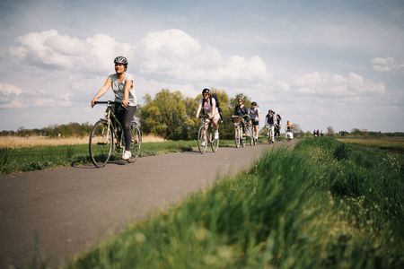 Gruppe von Radfahrern auf dem Havel-Radweg