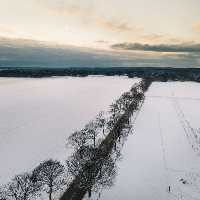 Luftaufnahme von einer Allee Richtung Emstal im Winter