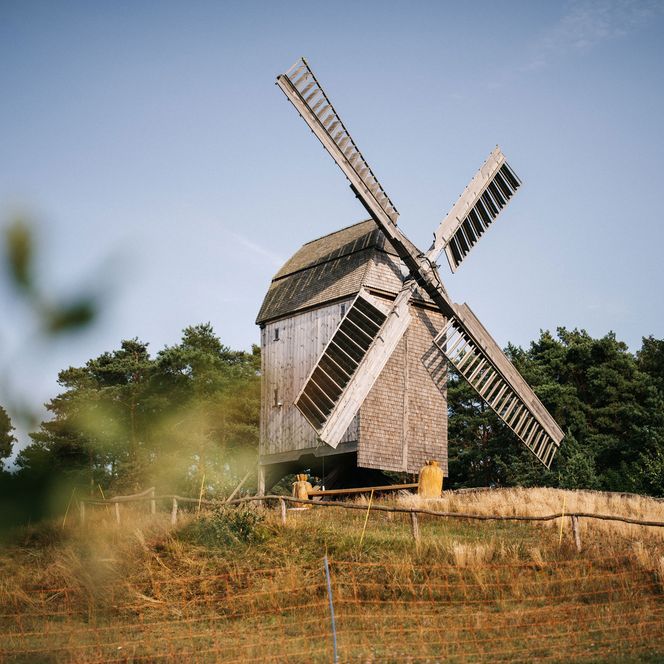 Blick auf die historische Bockwindmühle in Bamme