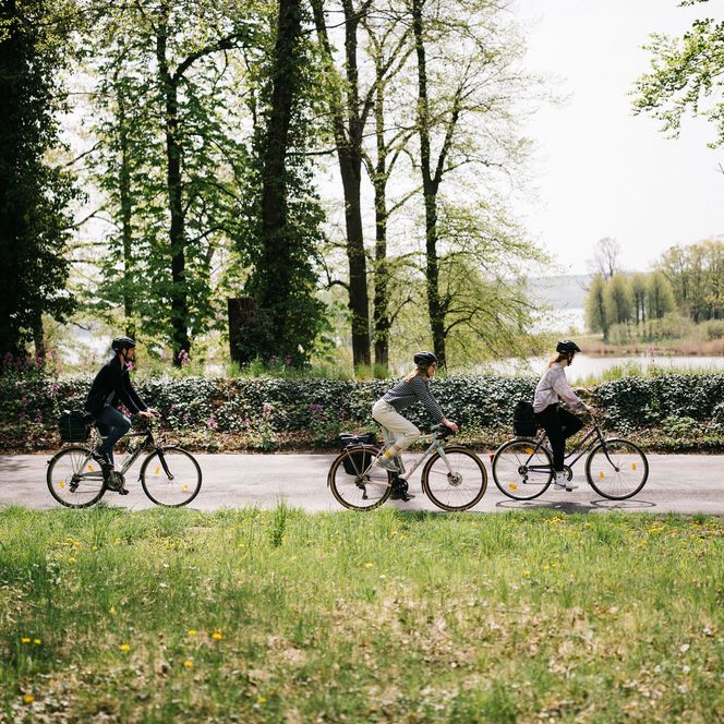 Fahrradfahrer auf Tour in Petzow Werder (Havel)