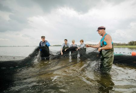 Zugnetzfischen mit Fischer Schröder im Westhavelland