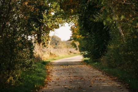Havelland-Radweg bei Ribbeck