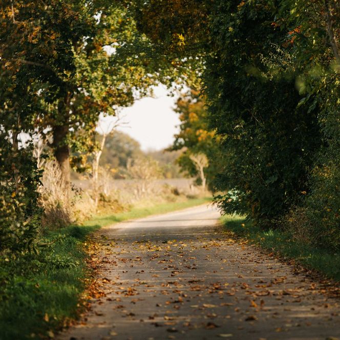 Havelland-Radweg bei Ribbeck
