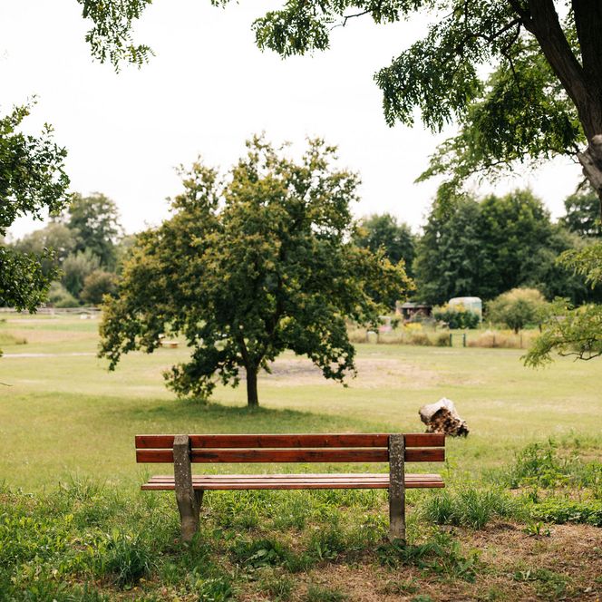 Park im Park in Paretz Ketzin/Havel