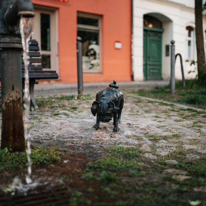 Walmops in Brandenburg an der Havel auf Spurensuche