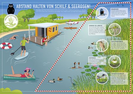 Infografik über das richtige Verhalten im Wassertourismus