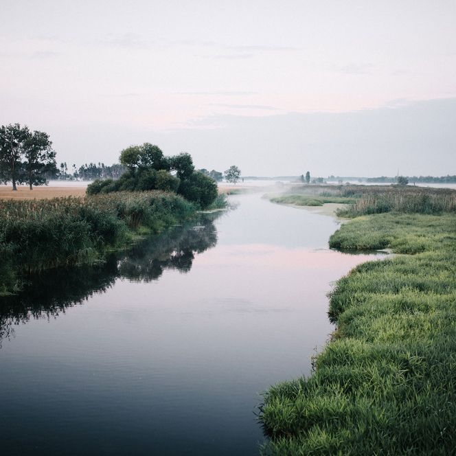 Gülper Havel im Morgennebel