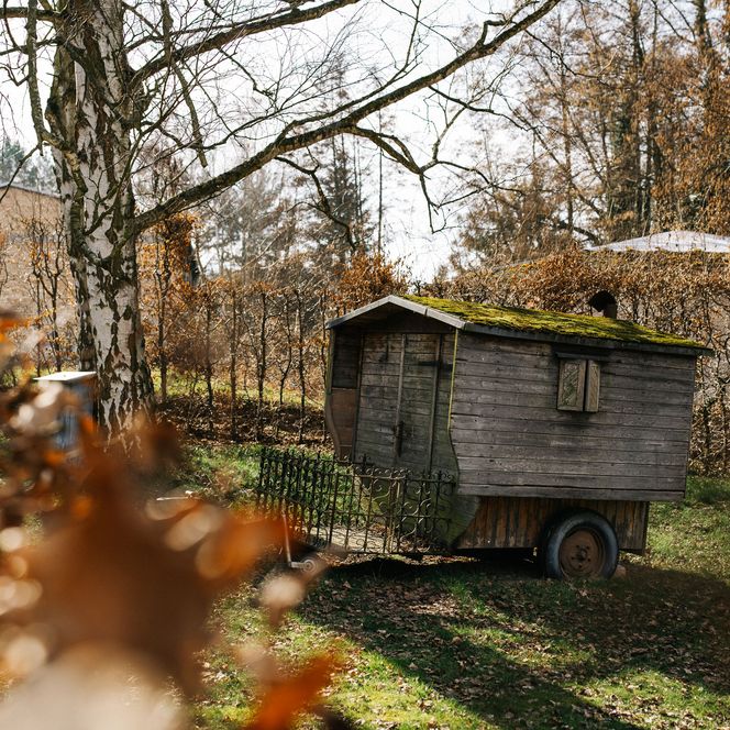 Holzhütte im Garten vom Lehniner Institut für Kunst und Kultur