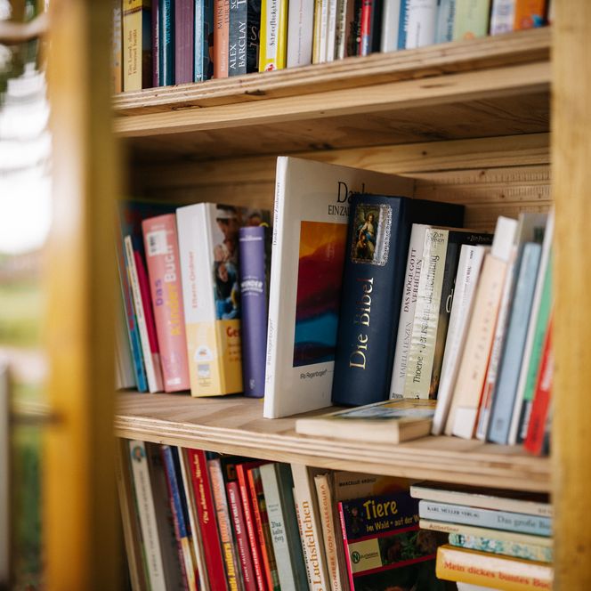 Bücherschrank an der Bank in Ebereschenhof