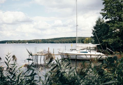 Blick durchs Schilf auf ein Segelboot am Steg 