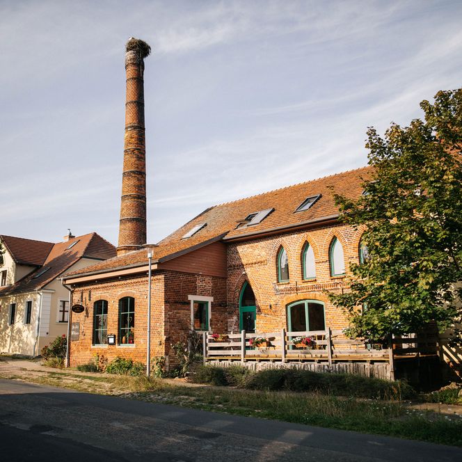 Storchennest auf dem Schornstein der Alten Brennerei Liepe