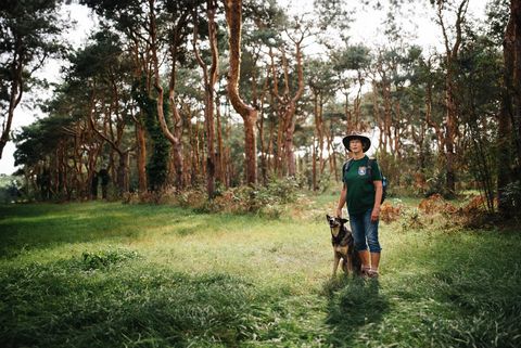 Frau mit Hund bei einer Wanderung im Wald in Kloster Lehnin